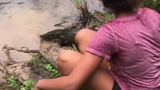 Feeding Baby Alligators