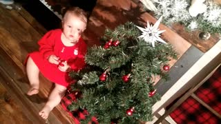 Baby granddaughters first Christmas tree