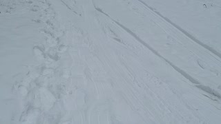 Idaho sledding