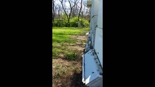 Spring beehive