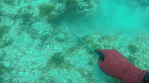 194 Key Largo Lobster Dive
