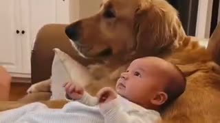 Baby and Animals adorable baby