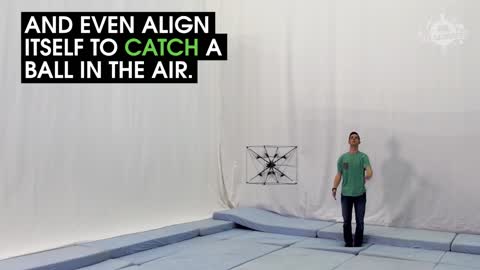 This Flying Robot Can Catch And Play Fetch