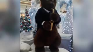 Orchestra playing bears.