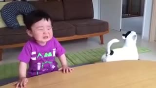 Funny dog annoying a kid