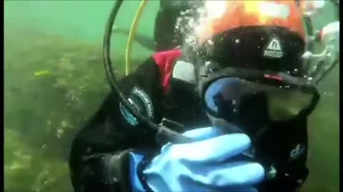 Scuba Diver Sings Happy Birthday Song Underwater