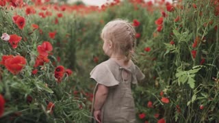 Girl walking between red flowers