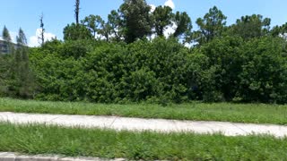 (00270) Part Two (P) - Bonita Springs, Florida. Sightseeing America!