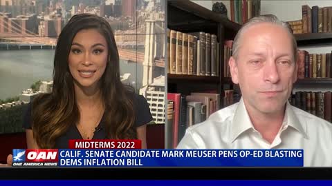 One-on-One with Calif. GOP senatorial candidate, Mark Meuser