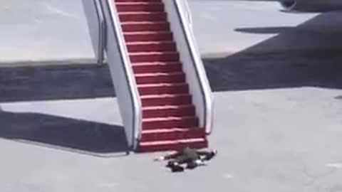Joe Biden Falls Down AF1 Stairs