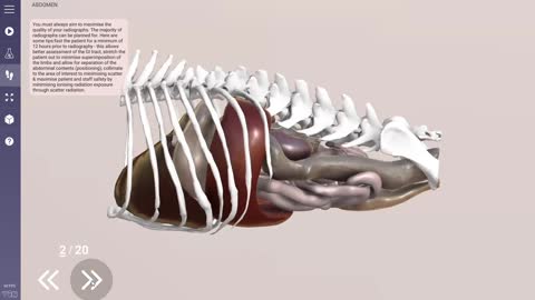How to use the new user interface - 3D Veterinary Anatomy & Learning IVALA