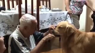 Great Grandfather Polishes the Pups Teeth