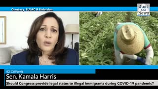 Democrats push for accelerated legalization of illegal immigrants during coronavirus pandemic
