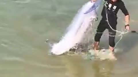 Amazing Asian Cast Net Fishing catch super