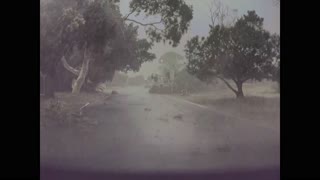 Driving in a Sudden Storm Cell