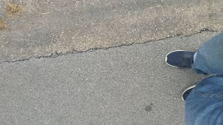 What's wrong with sidewalks