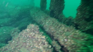 Lake Erie Shipwreck Diving: Indiana 2016 Part 1