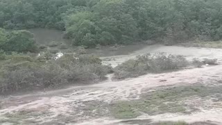 Supuesta tala de mangle en La Boquilla