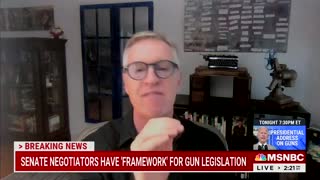 MSNBC Guest: 'Hold America Hostage' For Gun Control