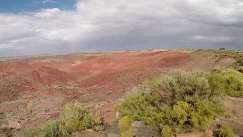 Visiting Utah EP9 - Petrified Forest National Park