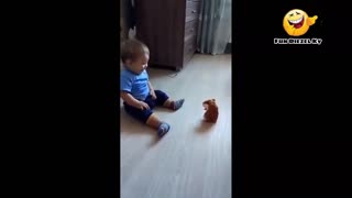 Funny baby video | entertainment video