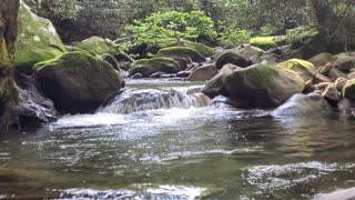 Relaxing Creek
