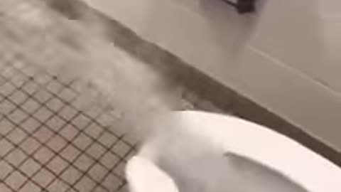 Broken Toilet Flush