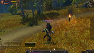 My First World of Warcraft Paladin I