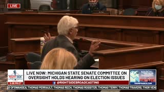Witness #36 testifies at Michigan House Oversight Committee hearing on 2020 Election. Dec. 2, 2020.