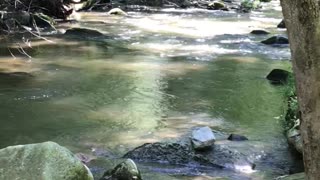 Stone Mountain, NC East Prong Roaring River, relaxing creek