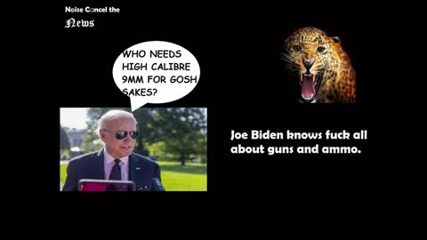 😂Idiot Pres. #Biden goes after 9mm ammo. #Letsgobrandon 😂