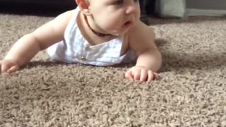 Boxer Teaches 6 month Old Baby How To Crawl