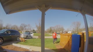 Running Dog Rips Porch Post Right off House