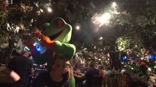 Rainforest Cafe Frog High Fives our Table!@