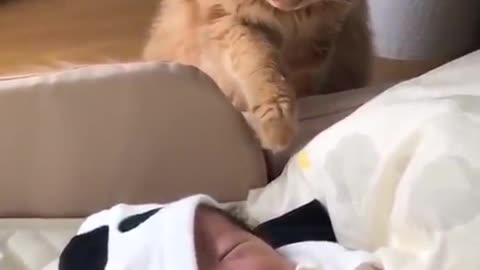 Sweet cat taking care of a sleeping baby