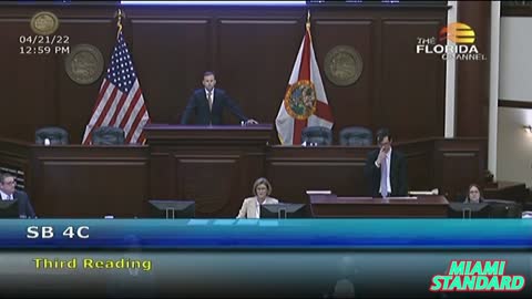 Left-wing protesters 'screech like demons' as FL House votes to strip Disney’s special privileges
