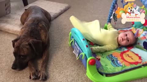 SUPER CUTE baby and dog moments