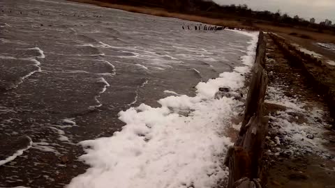 Winter foam on the shore