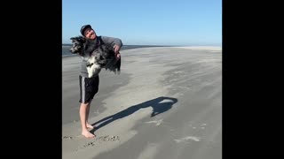 Australian Shepherd incredibly jumps through owner's arms