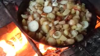 fry potatoes in nature