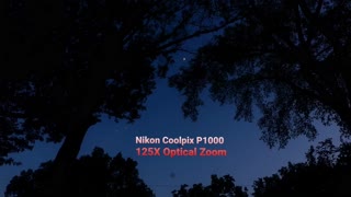 Nikon Coolpix P1000 - 125X Optical Zoom