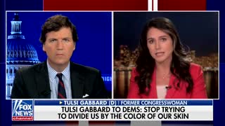 Tulsi Gabbard on the racial divide in America