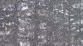 Minnesota Snow